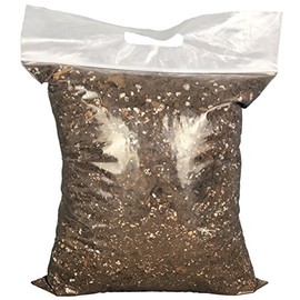 Cymbidium Imperial Orchid Mix (Junior Bag)