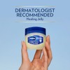 Vaseline Tarro de gelatina pura de 1.8 onzas (3 unidades)