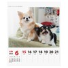 2025 Chihuahua Senryu (Weekly Turning) Calendar No. 025
