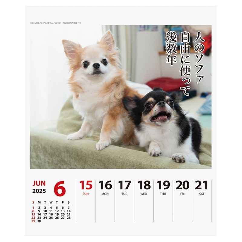 2025 Chihuahua Senryu (Weekly Turning) Calendar No. 025