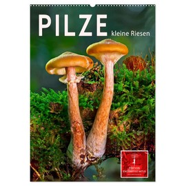 Mushrooms - Little Giants (Wall Calendar 2025 DIN A2 High), CALVENDO Monthly Calendar