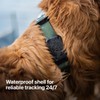 Shield™ - 2 Pack IP68 Waterproof The Safest AirTag Dog