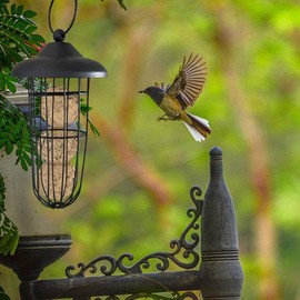 Black Suet Ball Bird Feeder Outdoor Hanging Wire Steel Metal Fat Ball Feeder for Wild Birds