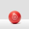Gray-Nicolls Wobble Ball, Red, One Size