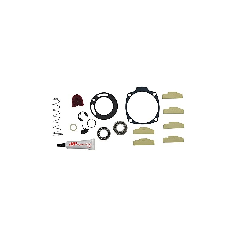 Ingersoll Rand Power Tools Replacement Part 259-TK1 - Tune-up Kit