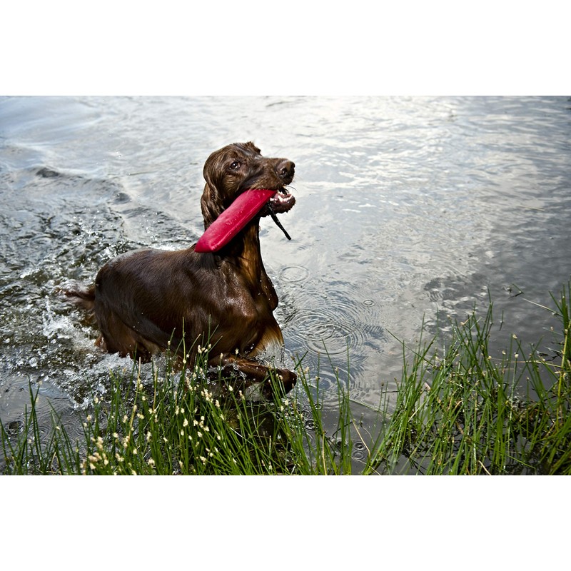 Dingo Agility Tug, 27 x 6 cm, Black