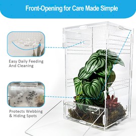 Duedusto Jumping Spider Enclosure 6”x6”x10”, Arboreal Tarantula Enclosure, Praying Mantis Terrarium Critter Cage for Jumping Spider, Tarantula, Mantis, Snail, Isopods, Beetles, Millipedes