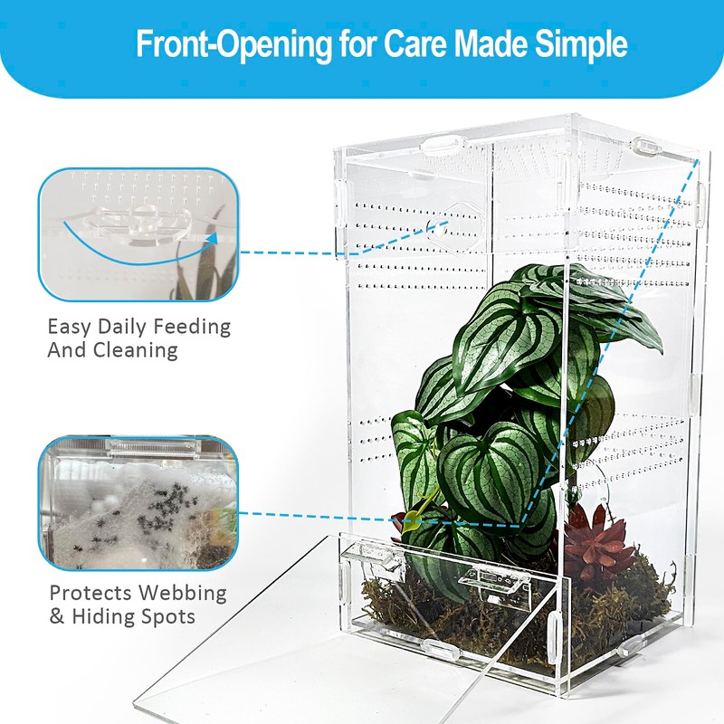 Duedusto Jumping Spider Enclosure 6”x6”x10”, Arboreal Tarantula Enclosure, Praying Mantis