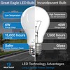 Great Eagle A19 LED Light Bulbs 40 Watt Equivalent -