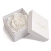 Infinity Rose Preserved Rose Box I Love You Gift for
