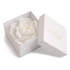 Infinity Rose Preserved Rose Box I Love You Gift for Women, White-white