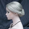 Aimole Stage Performance Braid Updo Bun Wigs Old Lady's Women