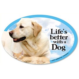 Dog (with Cat) Oval Dog Magnet for Cars (and fridges too!). Includes bonus “I Love My Dog” decal.