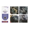 Morusion Plus Color Cream, odorless bright gray hair dye, dark