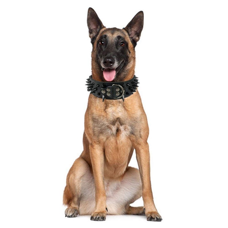 Pimaodog Sharp Spiked Studded Dog Collar 2 Inch Width Stylish