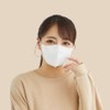 グディナ 快適立体マスク３０枚 Ｗ マスク