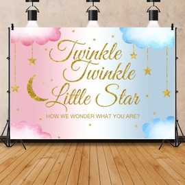 Canessioa Twinkle Twinkle Little Star Backdrop How We Wonder What You are Gender Reveal Background Boy or Girl Pink Blue Clouds Gold Glitter Stars and Moon Shower Party Studio Props 7x5ft
