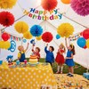Blue Yellow Red Paper Pom Poms,Party Tissue Paper Flowers Balls,Party