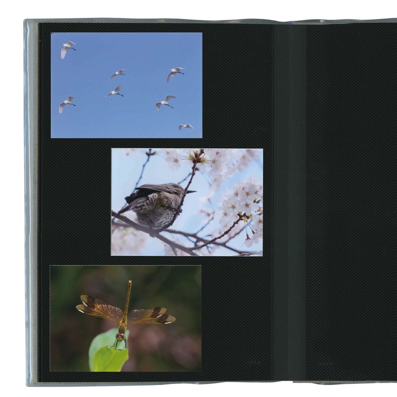 Delphonix PD Photo Album Basic A4 Chambray Blue