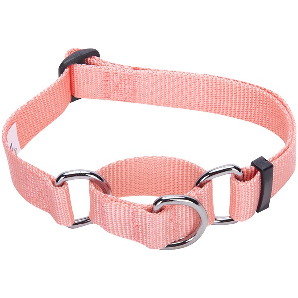 Blueberry Pet Essentials Martingale Safety Training Dog Collar, Baby Pink, Medium, Heavy Duty Nylon Adjustable Collars for Dogs