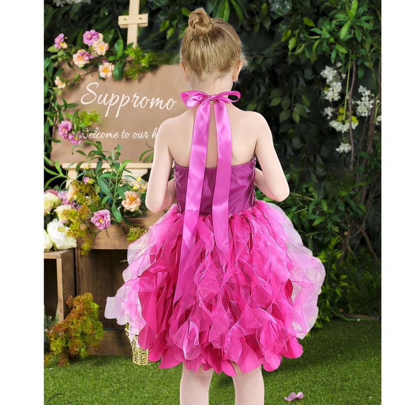 Hot Pink Tutu Dress for Girls Sparkly Sequin Tulle Princess