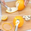 Alnicov Two-in-one Multipurpose Lemon Zester with Channel,Stainless Steel Fruit Peel
