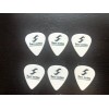 TWO NOTES Set Of 6 Custom TWO NOTES AUDIO ENGINEERING LOGO Heavy Guitar Picks