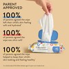 The Honest Company Toddler Hypoallergenic Flushable Wipes, 126 Count