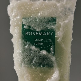 Aromatica Exfoliation, Pore Cleansing, Scalp Strengthening, Antioxidant, Hair Loss Care