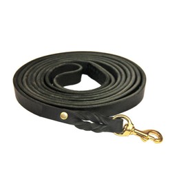 Dean and Tyler Braided Track Dog Leash with Solid Brass Hardware and Handle, 26-Feet by 3/4-Inch, Black