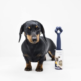 KORBOND Pet Lint Rollers - 6 Pack Lint Remover Rollers - 198 Sticky CITRUS SCENTED Sheets– for ALL FABRIC TYPES- Removes Pet Hair & Fluff -NO RESIDUE