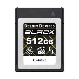 Delkin Devices Black 512GB CFexpress™ Type B 4.0 VPG400 Memory Card – High-Speed Performance for Professional Photography & Videography (512GB)