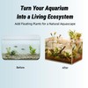 10 Pcs Creative Floating Floral Arrangement Holder,2pcs Aquarium Plant Holder