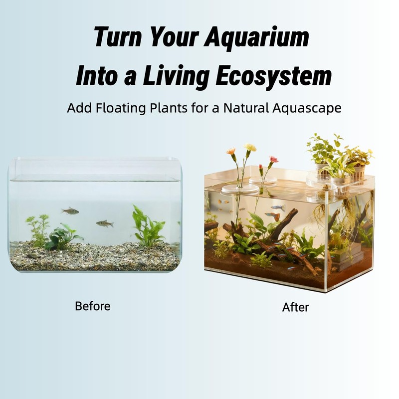 10 Pcs Creative Floating Floral Arrangement Holder,2pcs Aquarium Plant Holder