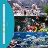 7 in 1 Aquarium Test Strips, 100 Strips Fish Tank