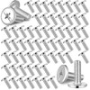 Blulu 100Pcs 1/4"-20 Hurricane Shutter Bolts, Sidewalk Screws Bolts Truss