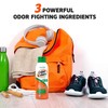 Odor-Eaters Spray Powder Pack of 3