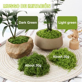 MaNeaz 60 g Moss for Crafts Artificial Moss Moss Craft Artificial Moss Decorative Moss for Decorating Decorative Moss Craft Moss for Aquarium Nativity Model Making (Dark Green 30G + Light Green 30G)