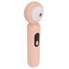 Blackhead Remover Blackhead Absorption Instrument Electric Pore Vacuum Machine Facial