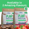 Applied Nutrition Critical Plant Protein - Vegan Protein Powder, Plant