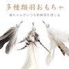 SONGWAY Cat Toy, Cat Feathers, Insects, Fluffy, Natural Feathers, Primary