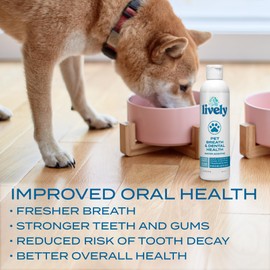 Lively Complete Pet Care Bundle – Dental Health Water Additive, Deodorizing Spray, and Stain & Odor Remover