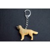 Golden Retriever Keyring House Dog Keychain [German Import]