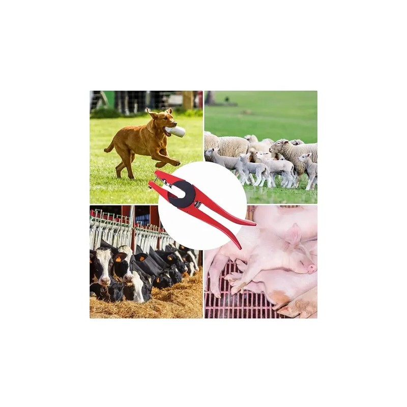 Pinzas Para Aretar Ganado, Toro, Cerdo, Borrego, Etc. Rojo