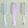 Eco Brush Hair Cushion Brush Root Comb Scalp Massage Comb