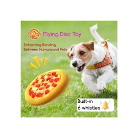 Pizza Flying Disc Toy