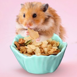 LemonRoad 4 Pack Small Ceramic Pet Hamster Bowl, Dwarf Hamster Food Dish Flower Water Bowl Small Animal Feeder for Parrots Gerbil Rat Mice Guinea Pig Easy to Clean Anti Flipping Pink Yellow Blue Green