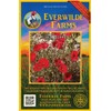 Everwilde Farms - 2000 Red Poppy Wildflower Seeds - Gold