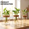 6Pcs Glass Plant Propagation Stations, Desktop Flower Vases, 3 Size