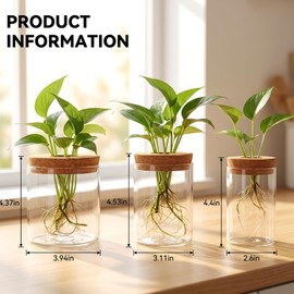 6Pcs Glass Plant Propagation Stations, Desktop Flower Vases, 3 Size Hydroponic Glass Container Vase (2 Large & 2 Medium & 2 Small) for Plant Cuttings, Desks, Houses, Living Room, Bedroom, Office Decor